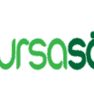 bursasözlük logo-02.png